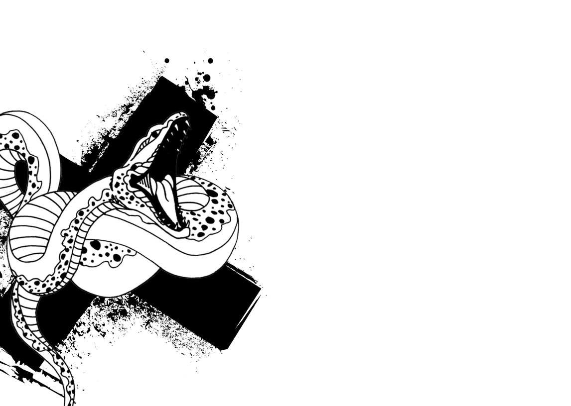 Snake illustration with grunge background